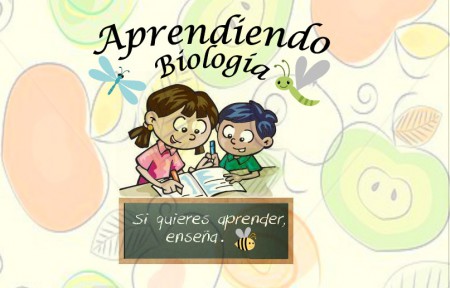 Información acerca de los servicios y productos (Aprebiología)